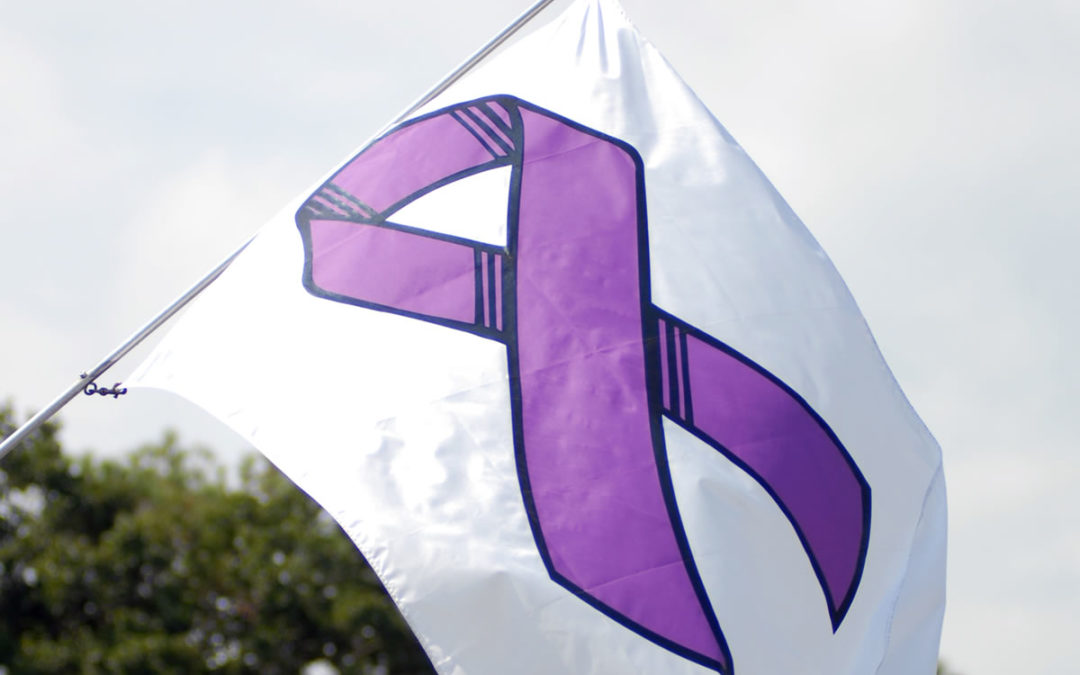 Non-Profit Spotlight: ICADV