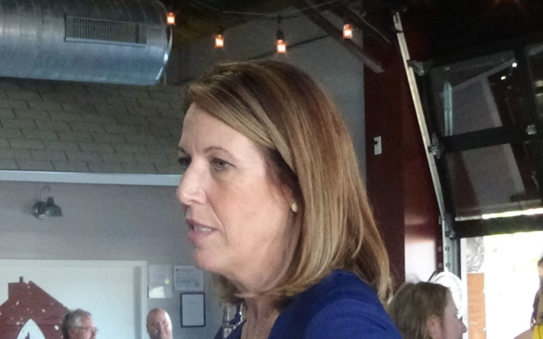Cindy Axne to Run Again