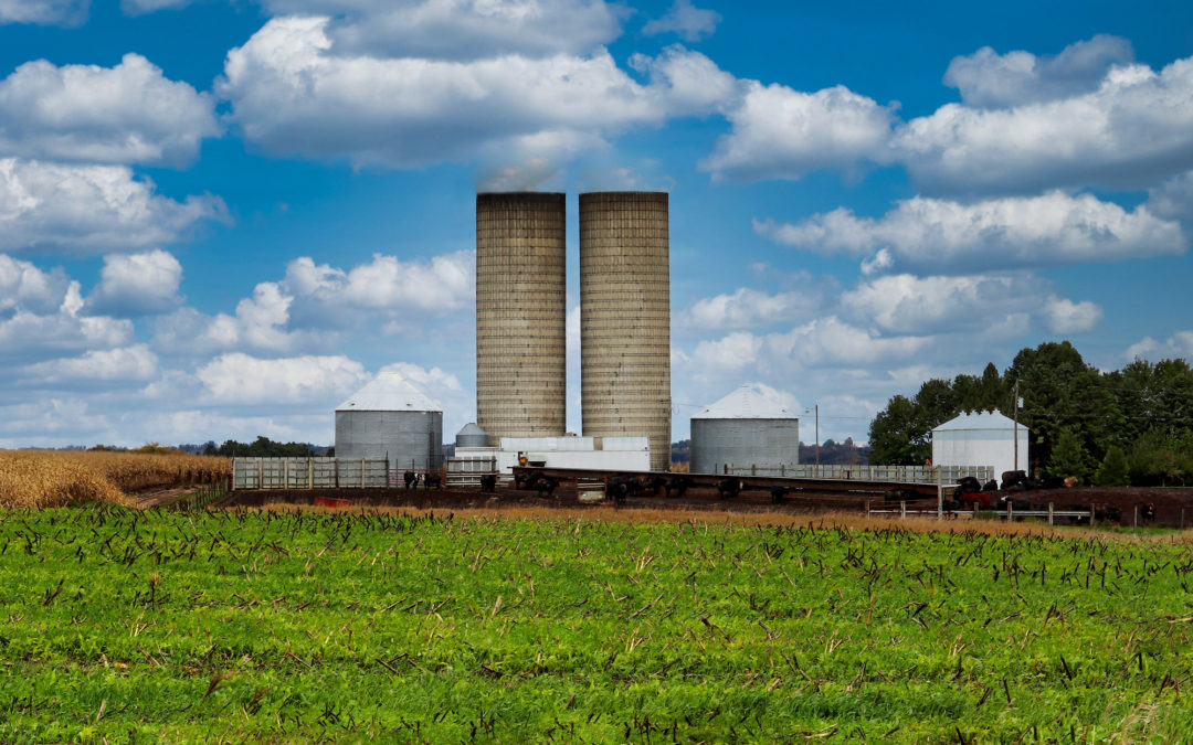 Supporting Future Family Farmers