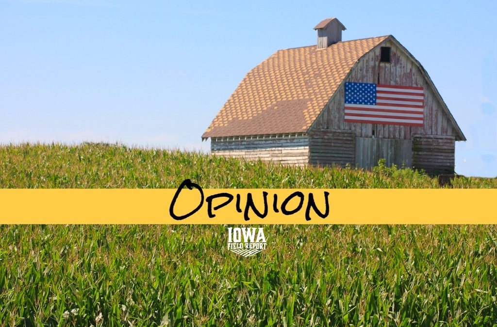 OP-ED Opinion corn
